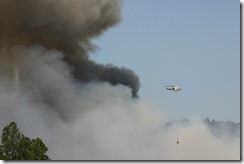IMG_1534 IMG_1534