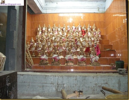DSCN3510 DSCN3510