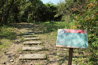 IMG_5559.JPG