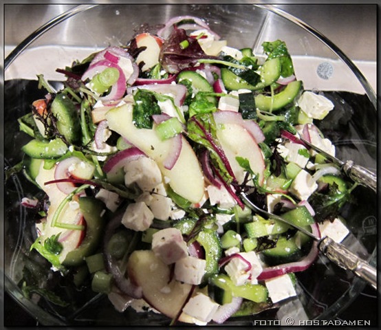 [Apple-onion-salad%255B9%255D.jpg]