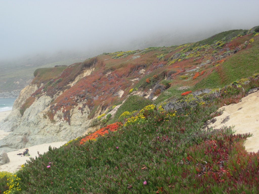 [IMG_0653%255B4%255D.jpg]