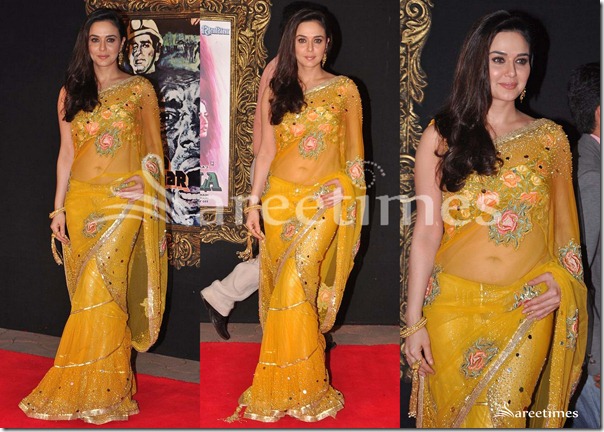 Preity_Zinta_Surily_Saree