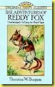 reddy fox