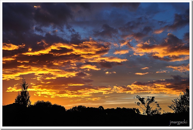 DSC_2262 DSC_2262