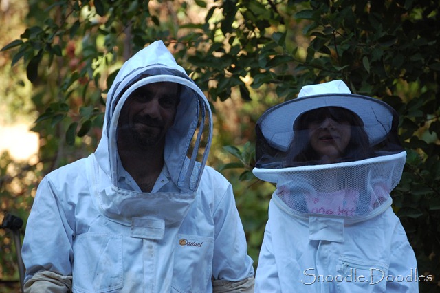 [Beekeepers%252009-11%2520004%255B6%255D.jpg]