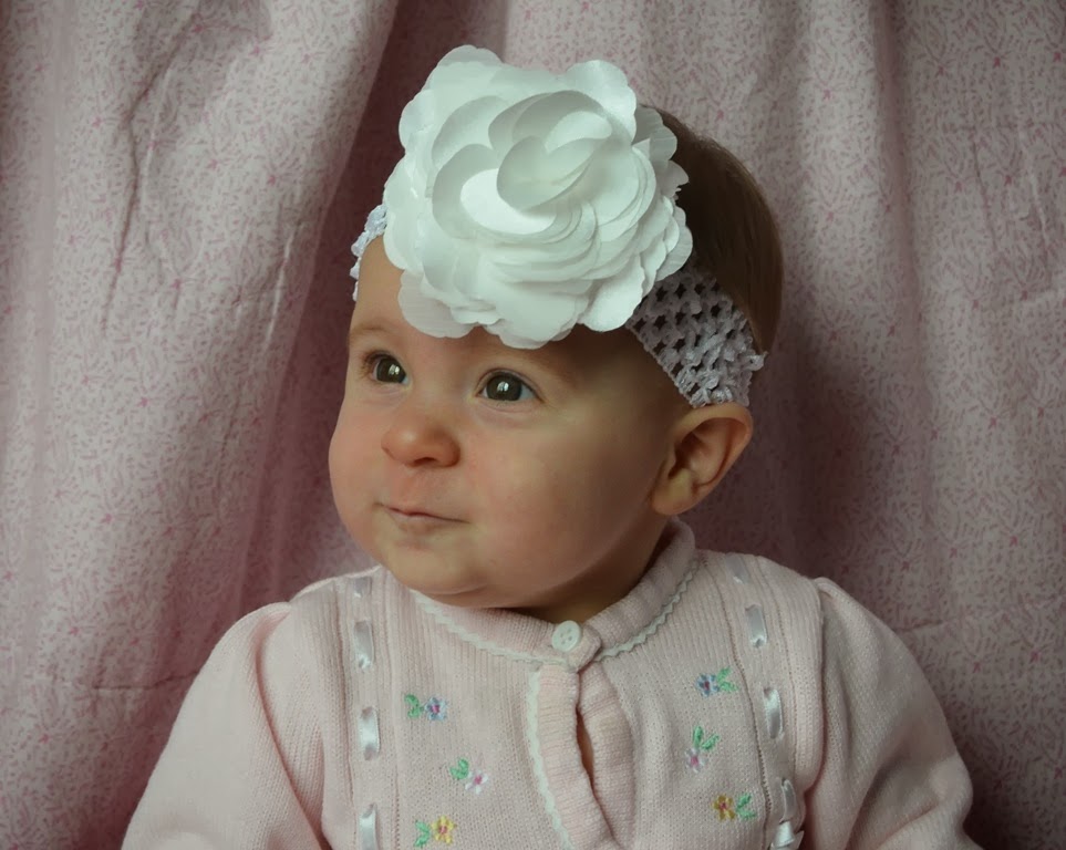 [DSC_5842%255B4%255D.jpg]