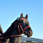 DSC_0126.JPG