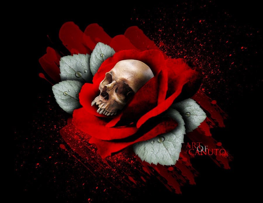 [skull_in_rose_by_jcanuto-d37kvl8%255B5%255D.jpg]