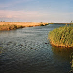 lencanyissada-maig-2001.jpg