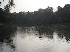 Backwaters