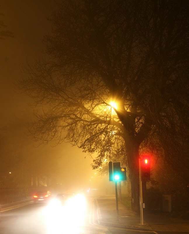 Foggy Ballinteer-Brendan Donnelly.JPG