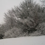 image22.jpg