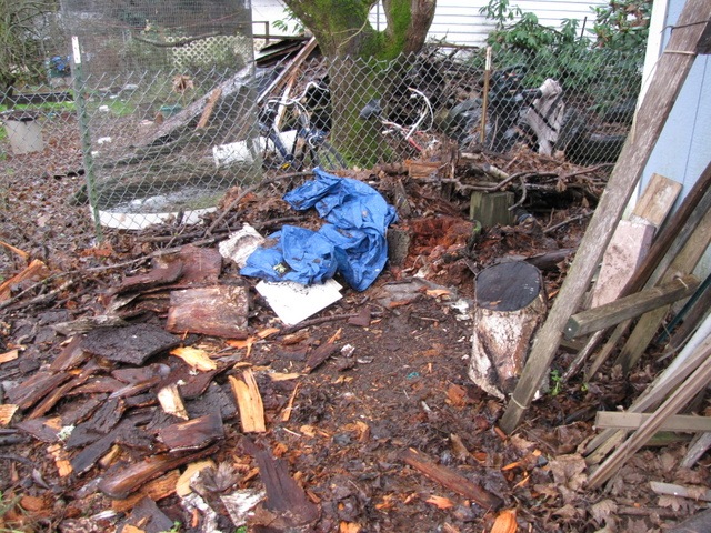 [IMG_1834%255B4%255D.jpg]