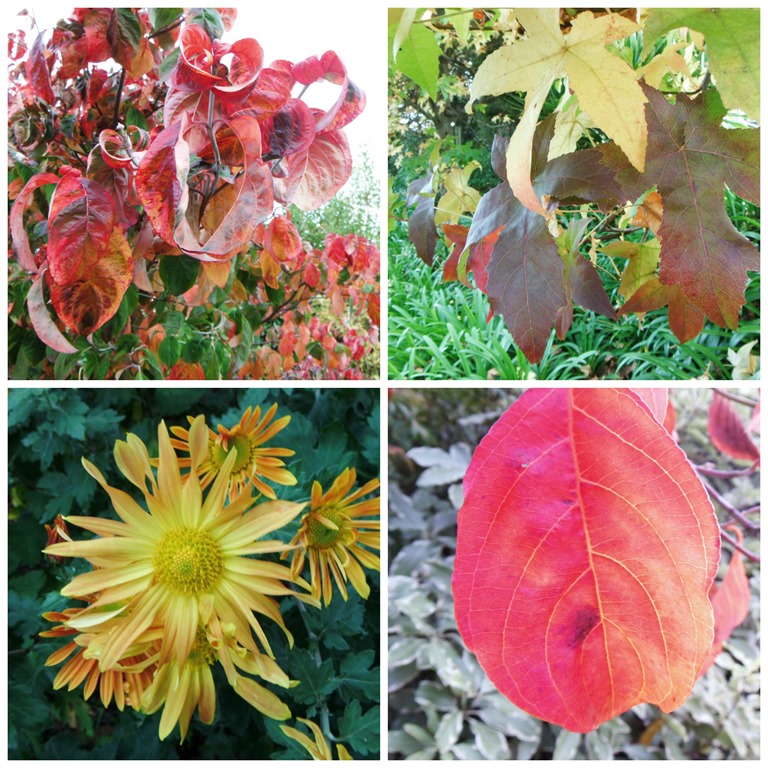 [Autumn-Clours-2-Collage3.jpg]