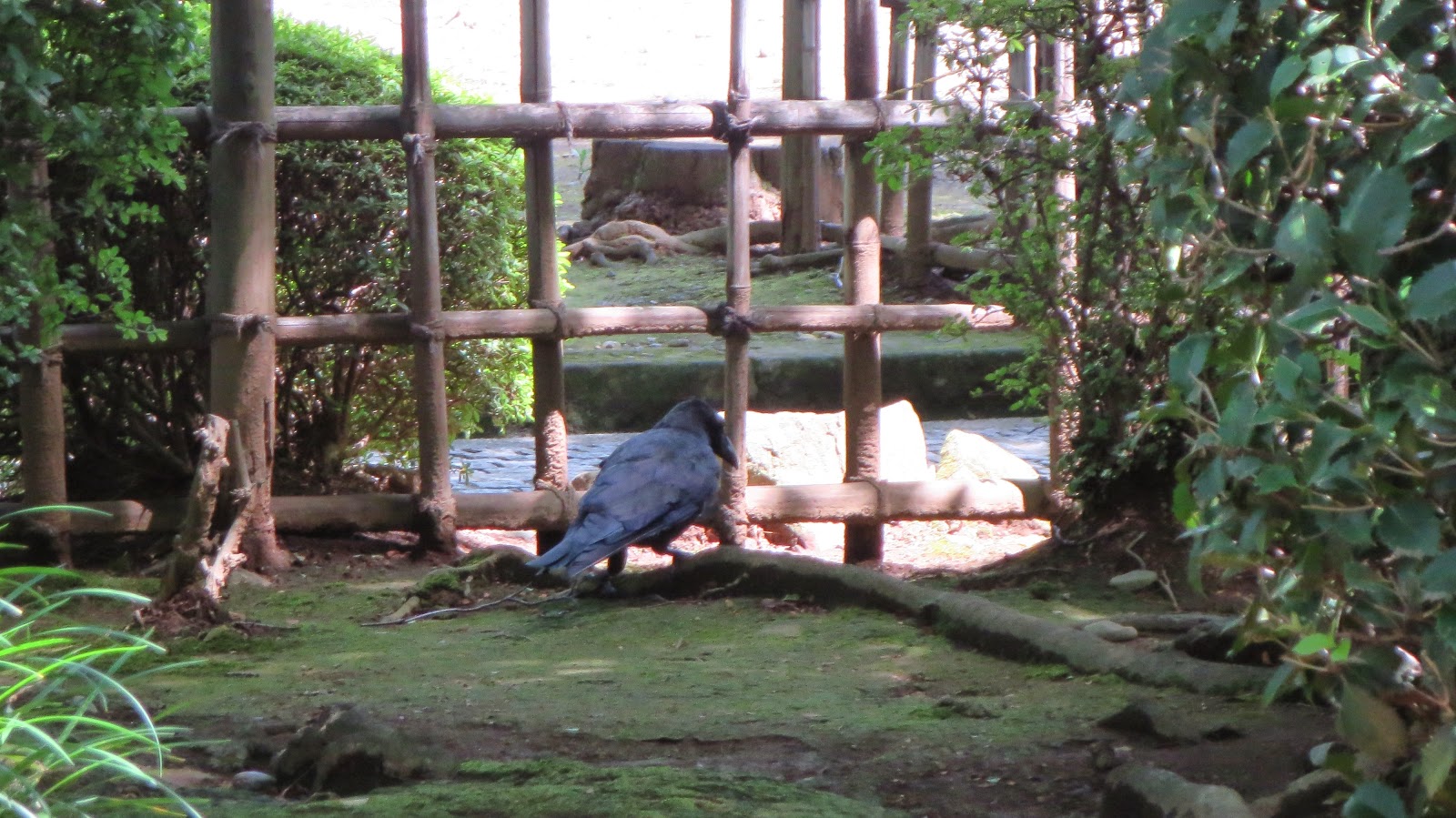 [IMG_1261%255B3%255D.jpg]