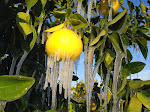 IMG_0087.JPG