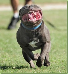 Mouth Pit