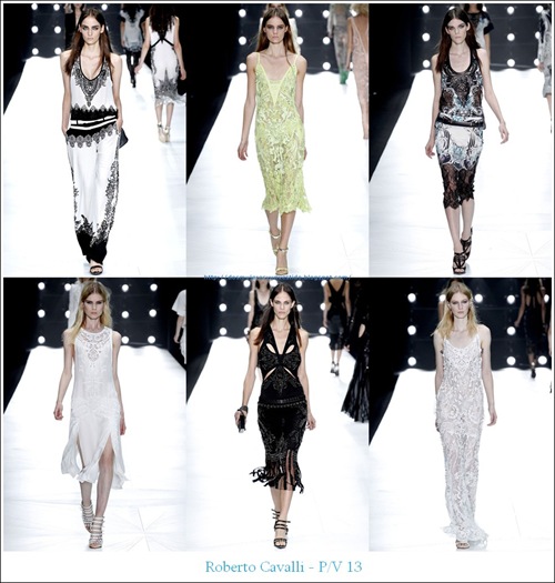 pv13-Roberto Cavalli pv13-Roberto Cavalli