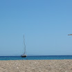 Alopronia strandján