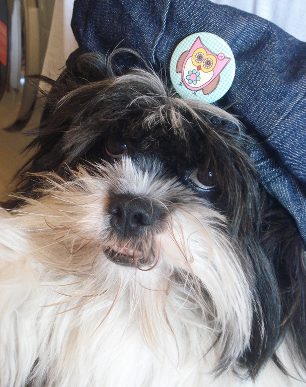 [DSC06269%255B5%255D.jpg]