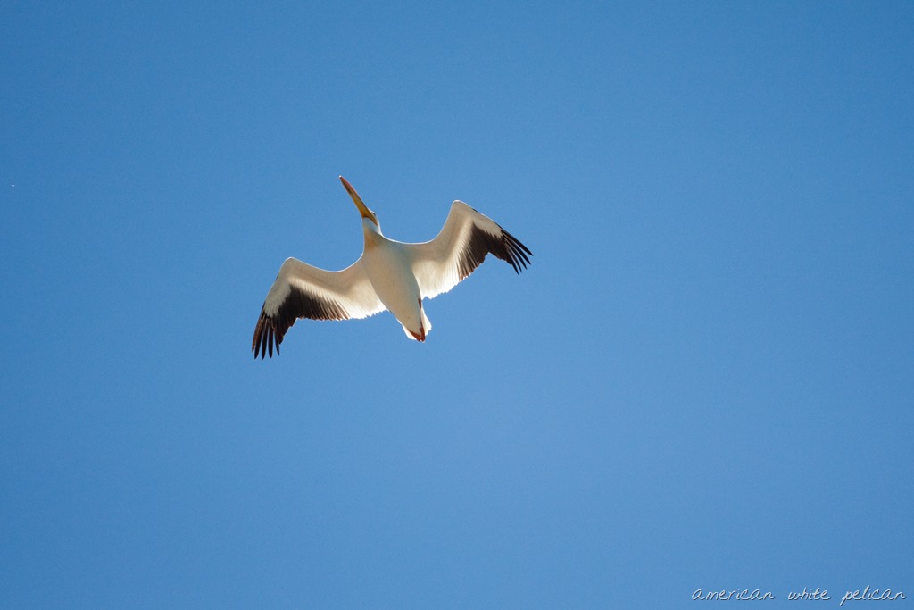 [20130625-IMG_25549.jpg]