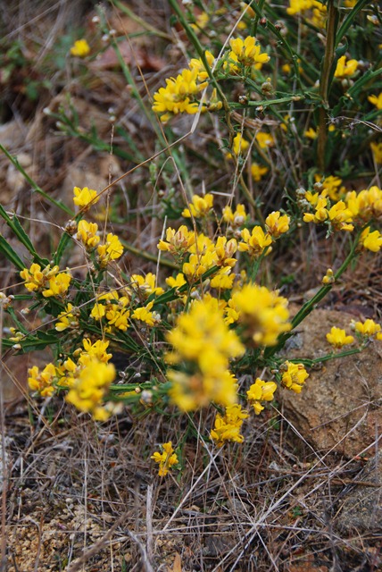 [DSC_0101%255B5%255D.jpg]