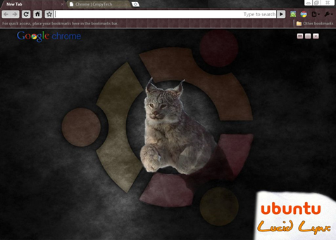 [ubuntu_lucid_lynx_google_chrome_theme%255B4%255D.png]