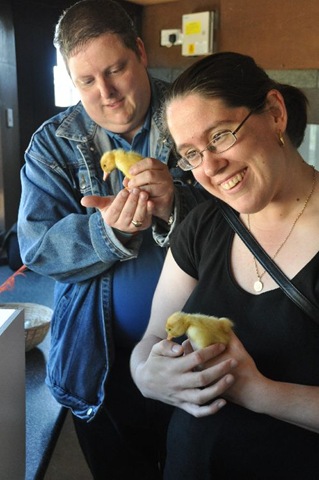 [Brian%2520%2526%2520Debs%2520with%2520Ducklings%2520DSC_0892%255B7%255D.jpg]