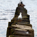 20100822_119_small.JPG