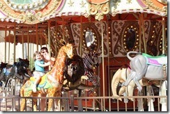 IMG_6518 IMG_6518