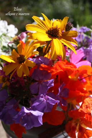 [IMG_4557-1%255B3%255D.jpg]
