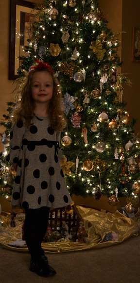 DSC_0161 DSC_0161
