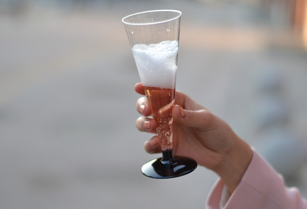 [DSC_0250%255B6%255D.jpg]