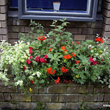 Containers Containers