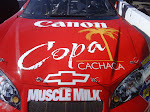 IMG00176-20100619-0919.jpg