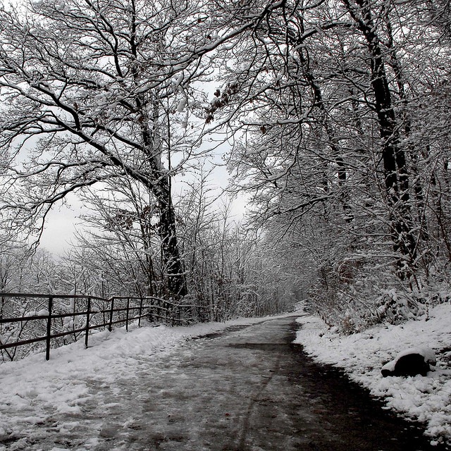 [winter%2520scene%255B4%255D.jpg]