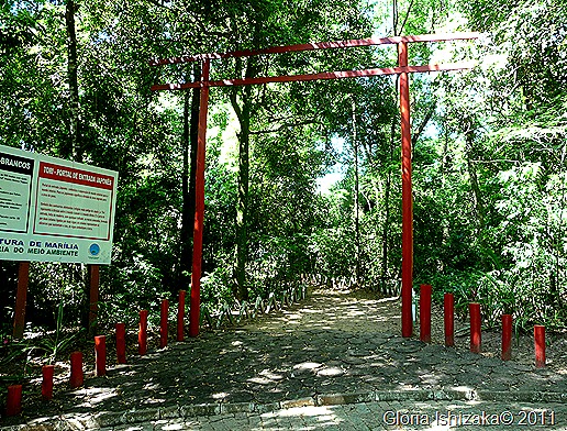 48- Glória Ishizaka - Marília