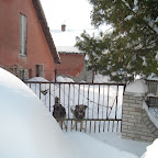 Svilajnac_20.02.2009. (2).JPG