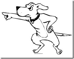 Cachorro 16
