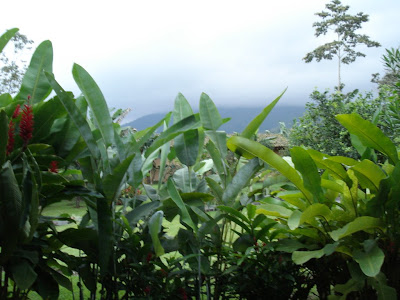 View of the Volcano from the veranda in our hut.  You simply have to believe there's a volcano over there, just like we did.