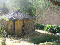 IMG_0098.jpg
