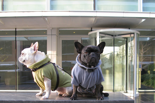 We rather like the building's entrance and high walls.