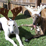 100_0290e.jpg