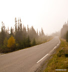 Høst 2010 (14 of 22).jpg Høst 2010 (14 of 22).jpg