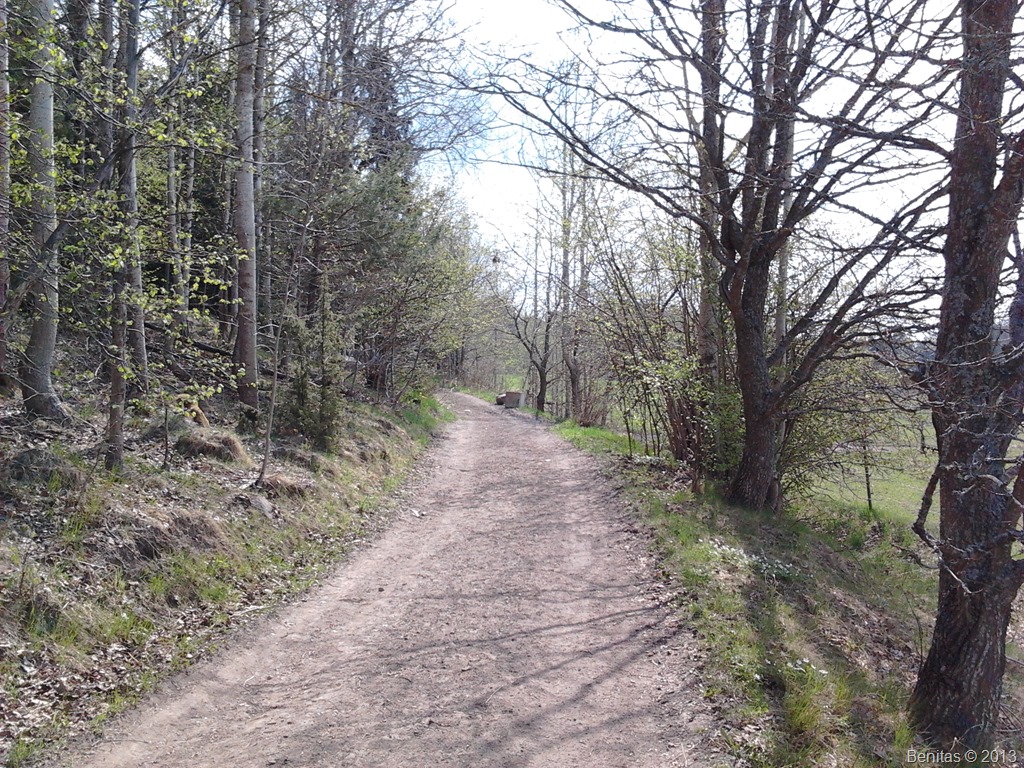 [2013-05-12%252011.33.17%255B5%255D.jpg]
