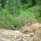 IMG_6605.JPG