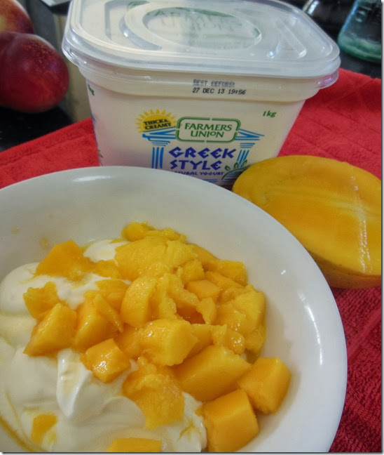 Mango & Yoghurt 2013