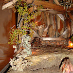 1459-3.JPG