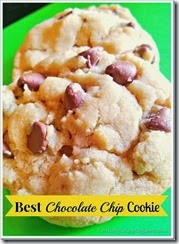 drool worthy chocolate chip cookies_thumb[8]