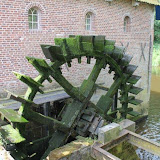 IMG_9524.jpg